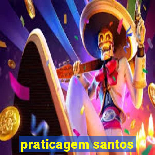 praticagem santos